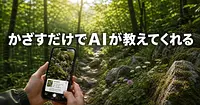 登山中に見た植物や岩、スマホをかざすだけでAIが教えてくれる