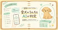 愛犬のうんちをAIが判定 写真だけでできる体調チェック