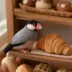 ルッカ