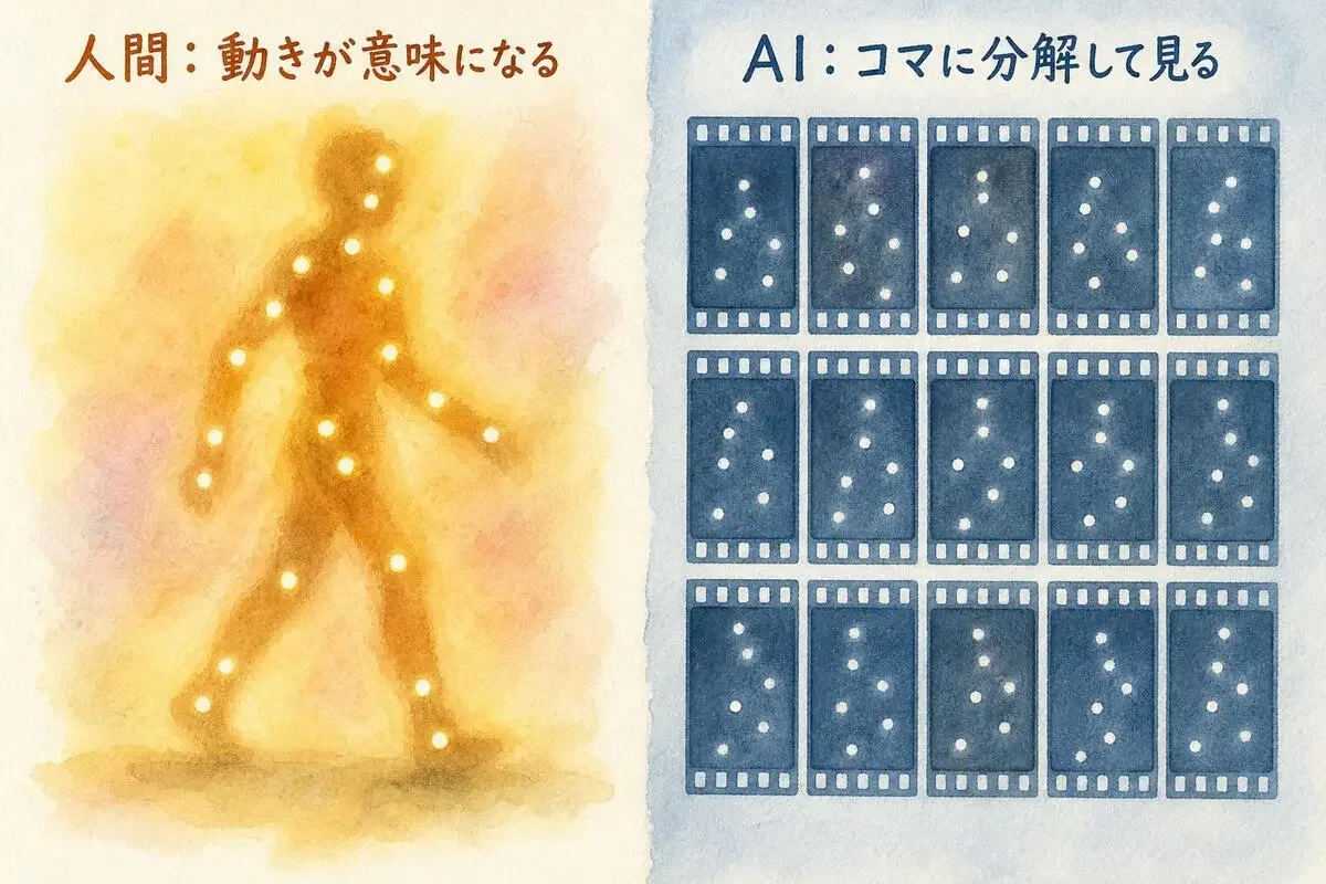 動きから意味を読む人間の知覚と、フレームに分解して見るAIの対比